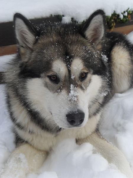 scout 12-2010 9.jpg